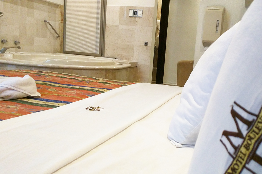 Motel Boulevard Puebla